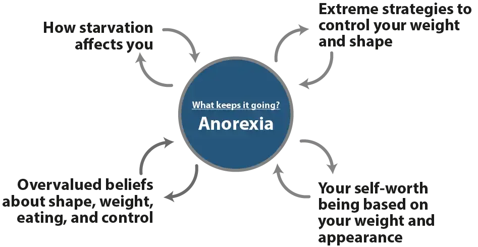 Psychology Tools Article | Learn About Anorexia | Diagram describing what keeps anorexia going