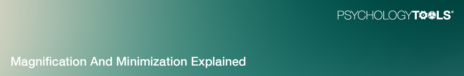 Article: Magnification and Minimization Explained banner